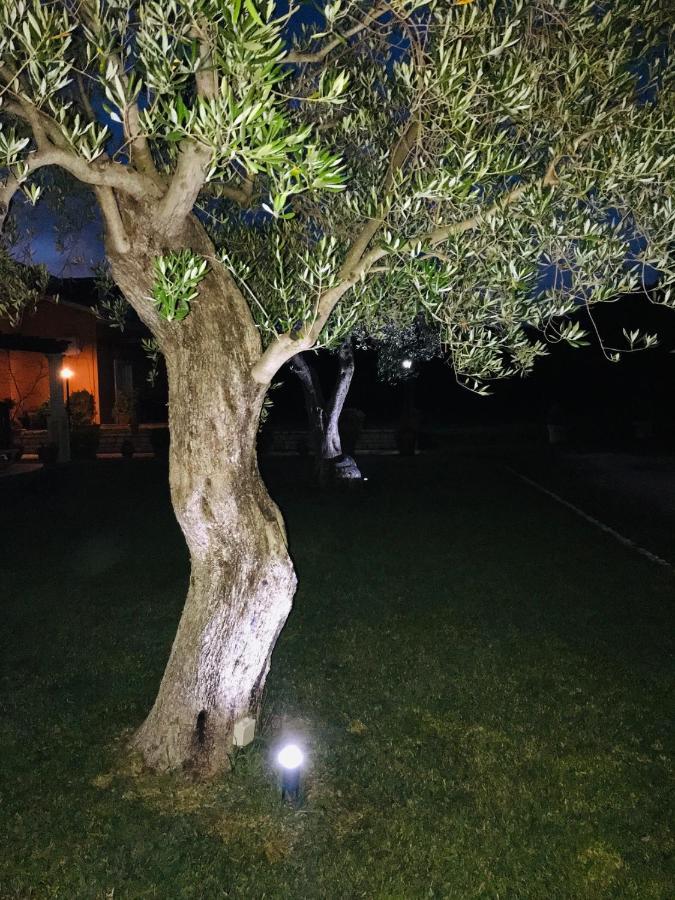 L'Eremo Luxury Apartments Roda (Corfu) Exterior foto